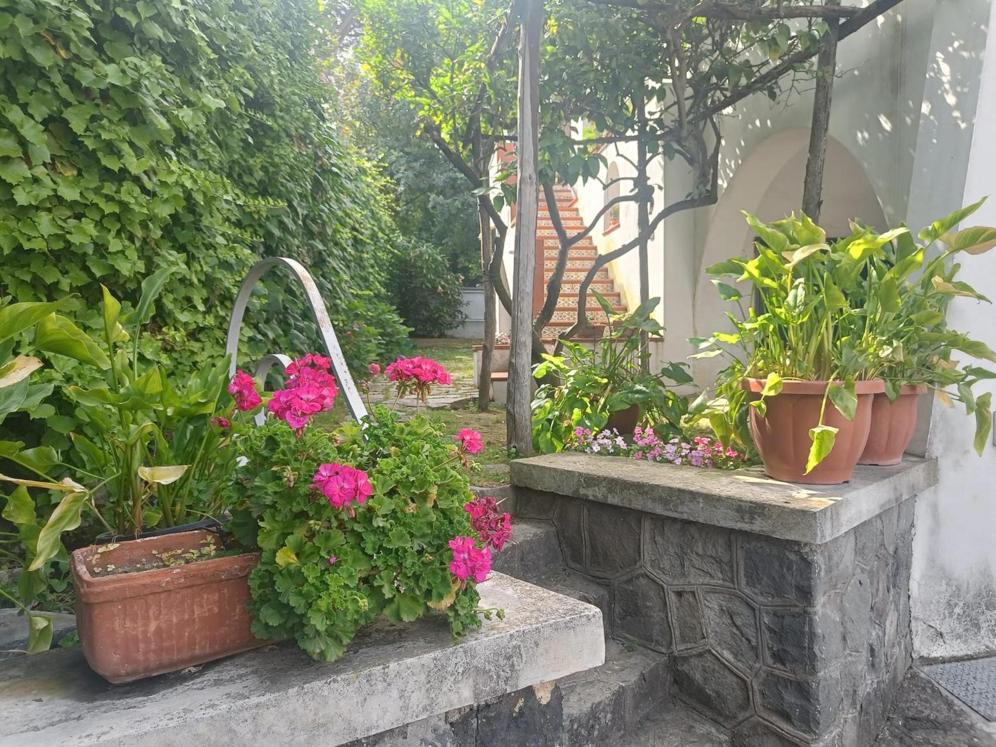Ferienwohnung Casa Olivella Torre del Greco Exterior foto